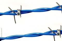 أسلاك شائكة